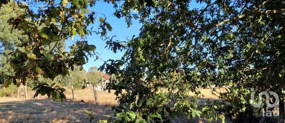 Terrain agricole à Torre E Vila Mou de 4 878 m²