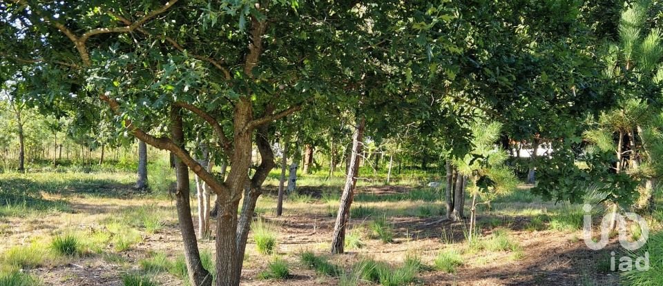 Terrain agricole à Torre E Vila Mou de 4 878 m²