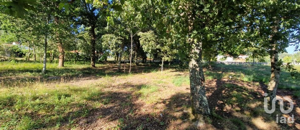 Terrain agricole à Torre E Vila Mou de 4 878 m²