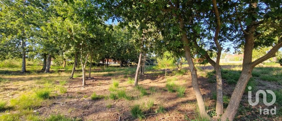 Terrain agricole à Torre E Vila Mou de 4 878 m²