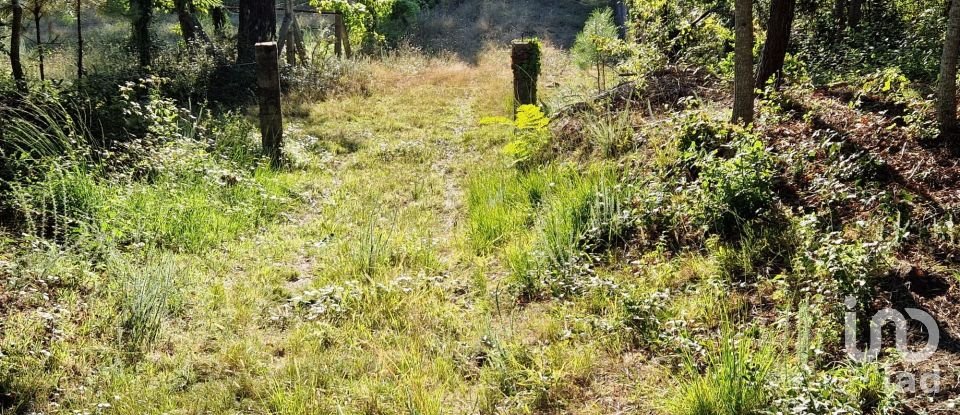 Terrain agricole à Torre E Vila Mou de 4 878 m²