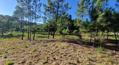 Farm land in Torre E Vila Mou of 4,878 m²