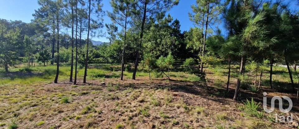 Terrain agricole à Torre E Vila Mou de 4 878 m²