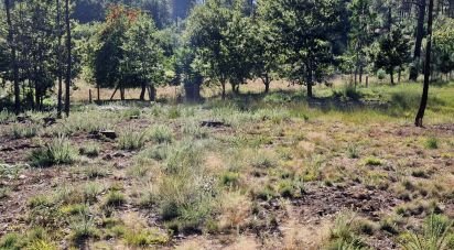 Farm land in Torre E Vila Mou of 4,878 m²