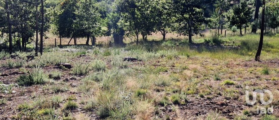 Terrain agricole à Torre E Vila Mou de 4 878 m²