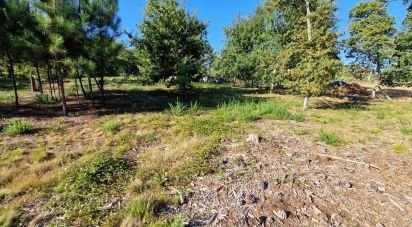 Farm land in Torre E Vila Mou of 4,878 m²