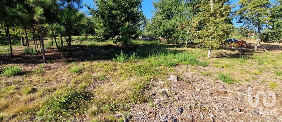 Terrain agricole à Torre E Vila Mou de 4 878 m²