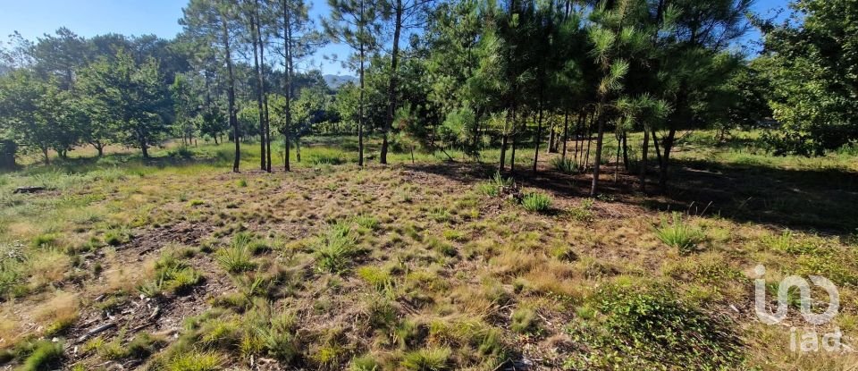 Terrain agricole à Torre E Vila Mou de 4 878 m²