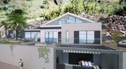 House T4 in Paul Do Mar of 869 m²