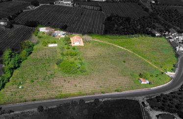 Farm T4 in Borba (Matriz) of 265 m²