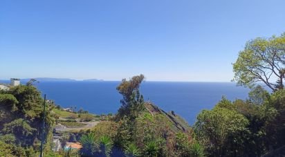 Terrain à bâtir à Caniço de 680 m²