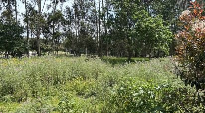 Terrain à Póvoa de Varzim, Beiriz e Argivai de 42 736 m²