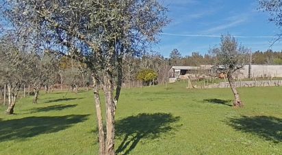 Terrain à Pedrógão Grande de 5 760 m²