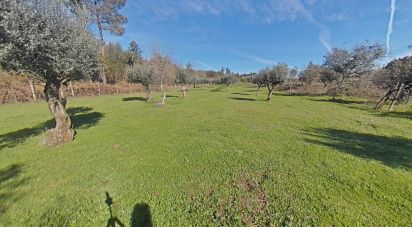 Terrain à Pedrógão Grande de 5 760 m²