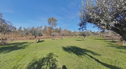 Terrain à Pedrógão Grande de 5 760 m²