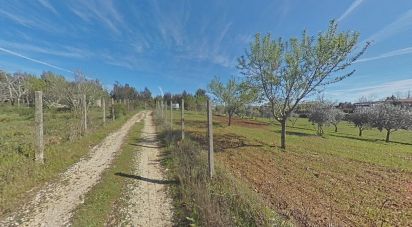 Terrain à Pedrógão Grande de 5 760 m²