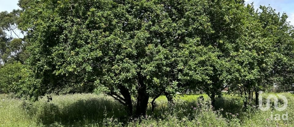 Terrain à Póvoa de Varzim, Beiriz e Argivai de 16 724 m²