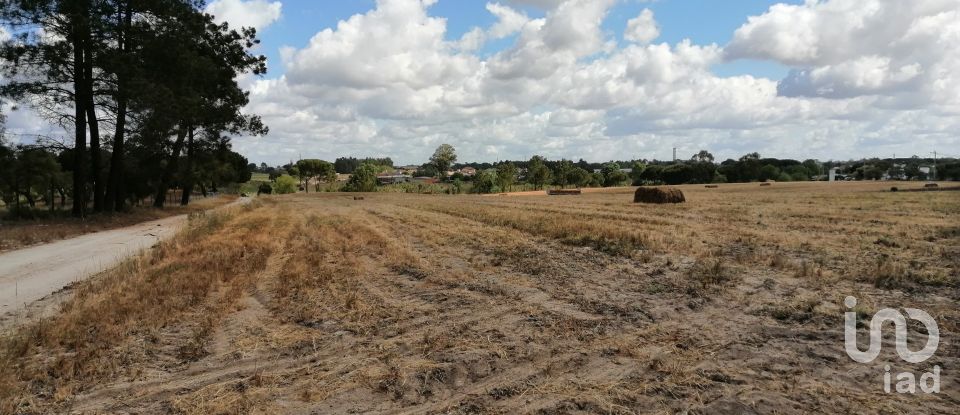 Terrain à Pegões de 31 738 m²