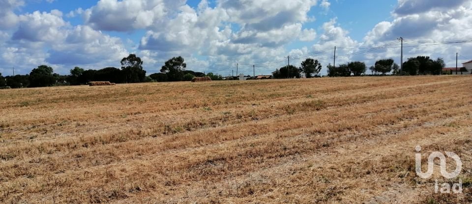 Terrain à Pegões de 31 738 m²