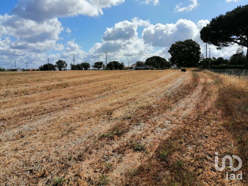 Terrain à Pegões de 31 738 m²