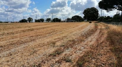 Terrain à Pegões de 31 738 m²