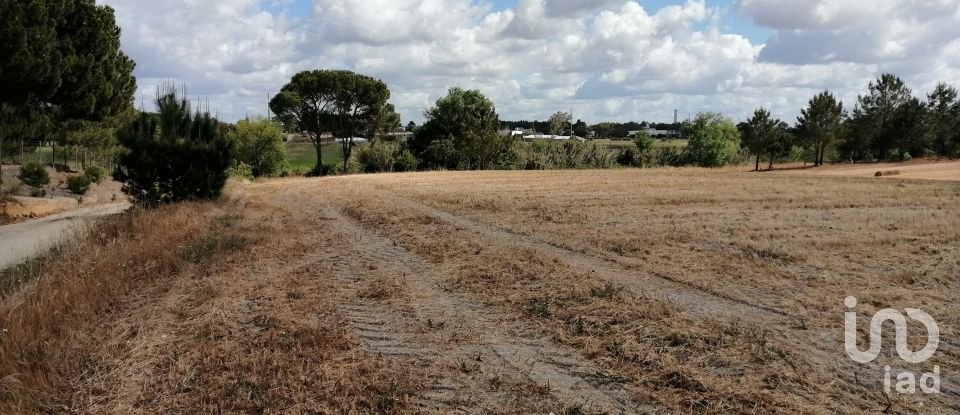 Terrain à Pegões de 31 738 m²