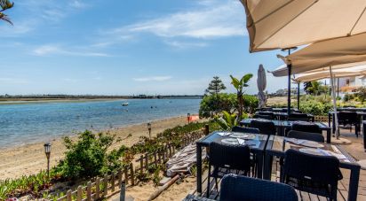 Restaurant gastronomique à Montenegro de 455 m²