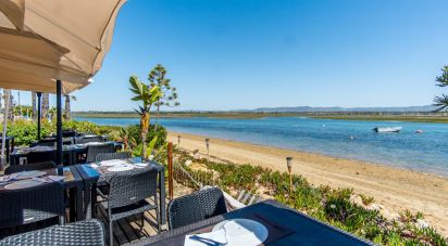 Restaurant gastronomique à Montenegro de 455 m²