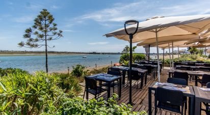 Restaurant gastronomique à Montenegro de 455 m²