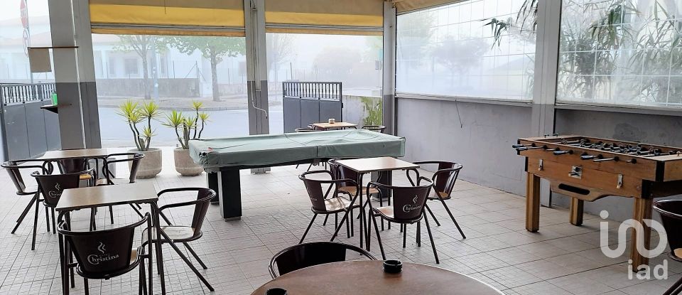 Restaurant in Santa Marta de Portuzelo of 210 m²