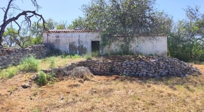 Maison rustique T3 à Paderne de 300 m²