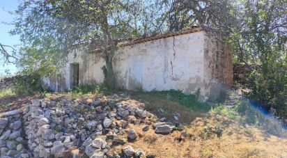 Maison rustique T3 à Paderne de 300 m²