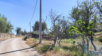 Maison rustique T3 à Paderne de 300 m²