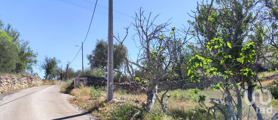 Maison rustique T3 à Paderne de 300 m²
