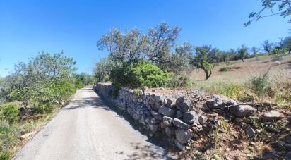 Maison rustique T3 à Paderne de 300 m²