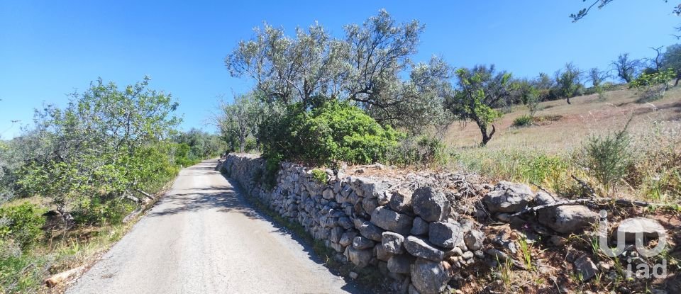 Maison rustique T3 à Paderne de 300 m²