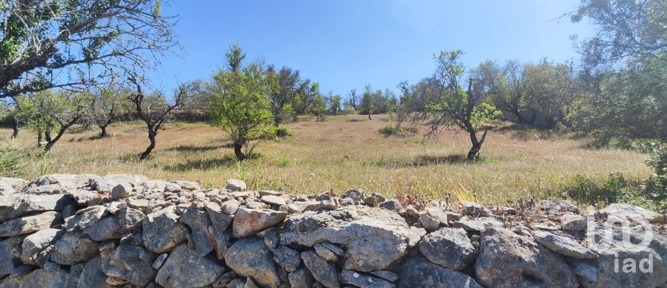 Maison rustique T3 à Paderne de 300 m²