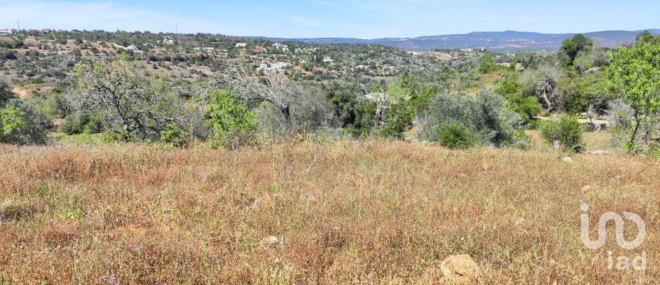 Maison rustique T3 à Paderne de 300 m²