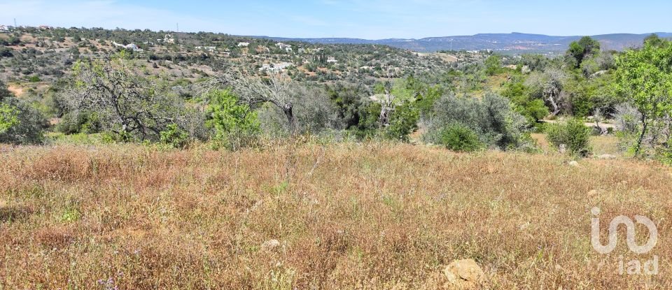 Maison rustique T3 à Paderne de 300 m²