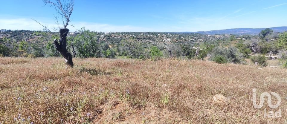 Maison rustique T3 à Paderne de 300 m²