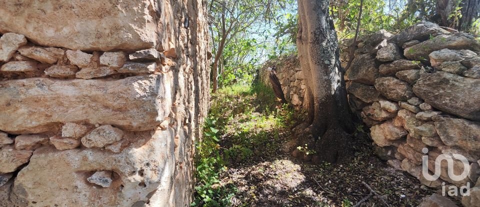Maison rustique T3 à Paderne de 300 m²