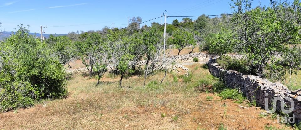 Maison rustique T3 à Paderne de 300 m²