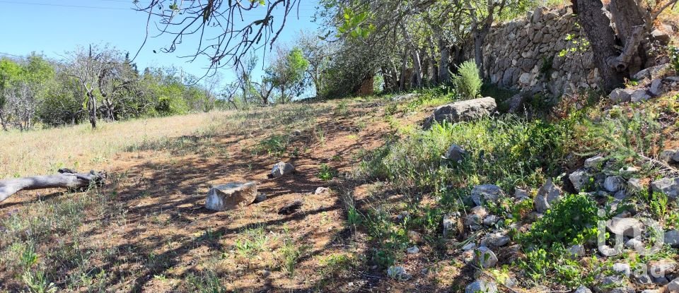 Maison rustique T3 à Paderne de 300 m²