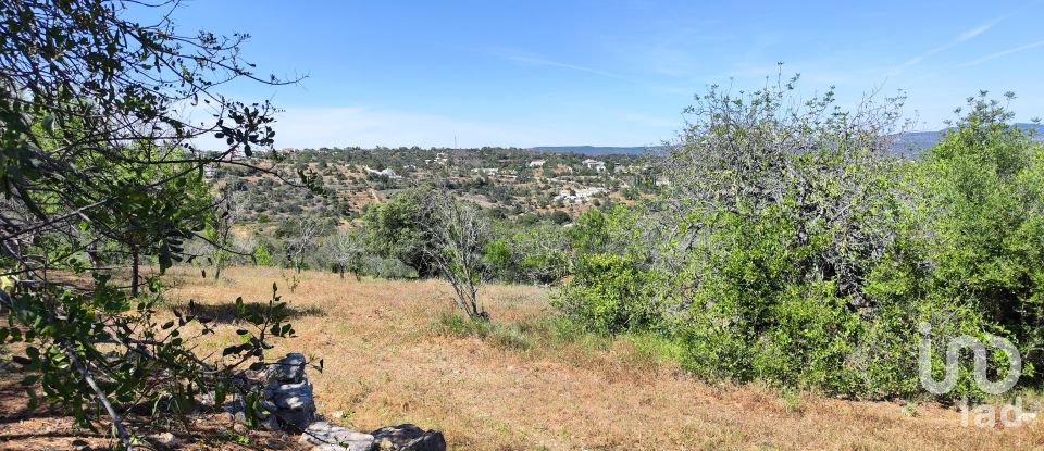 Maison rustique T3 à Paderne de 300 m²