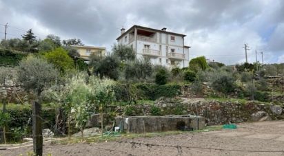 Maison T3 à São Mamede de Ribatua de 361 m²