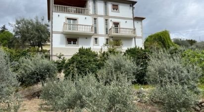 Maison T3 à São Mamede de Ribatua de 361 m²