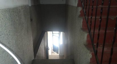 Bâtiment à Guarda de 593 m²