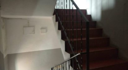 Bâtiment à Guarda de 593 m²