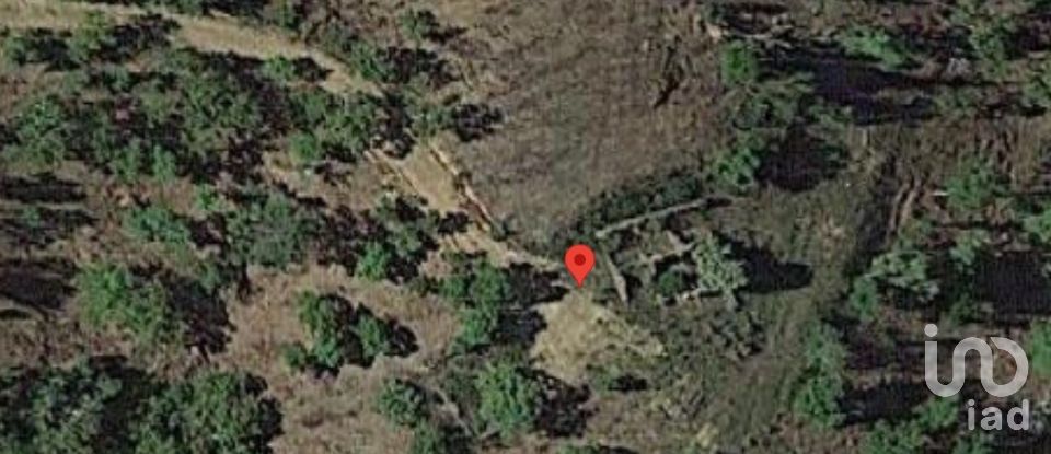 Building plot in Salir of 31,312 m²