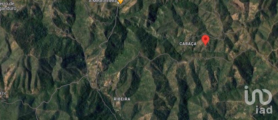 Building plot in Salir of 31,312 m²